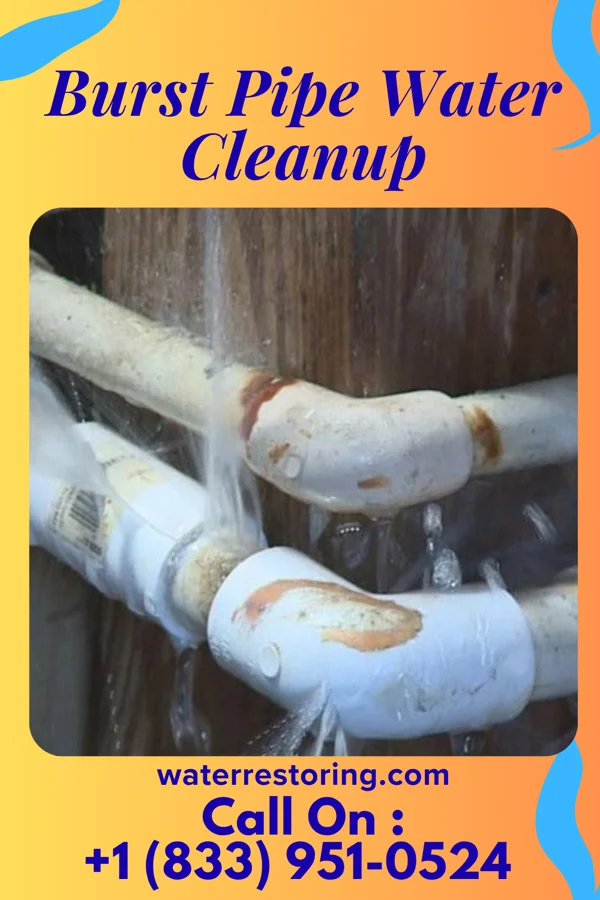 Burst Pipe Water Cleanup in Sheridan, IN