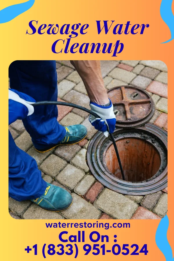 Sewage Water Cleanup in Sheridan, IN